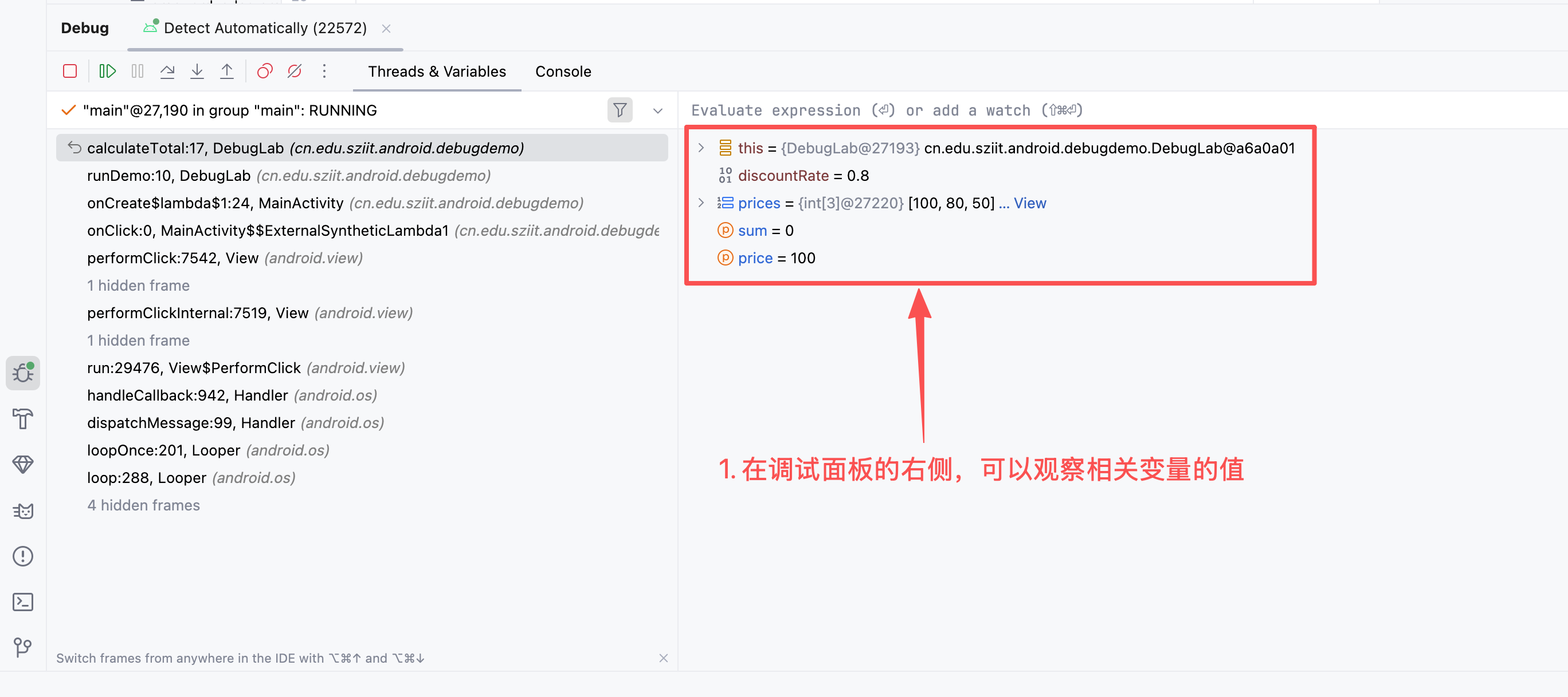 Variables 面板查看变量值