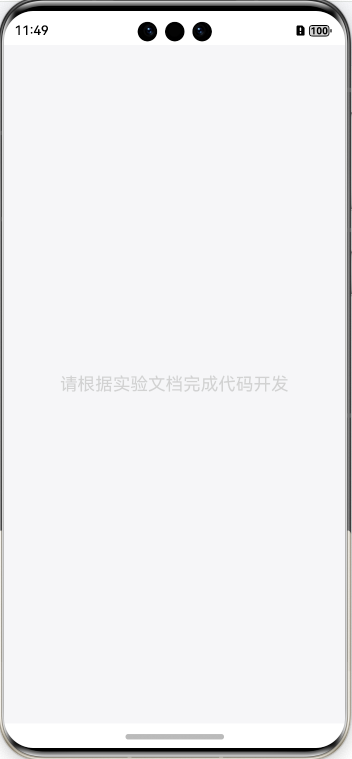 初始运行效果预览