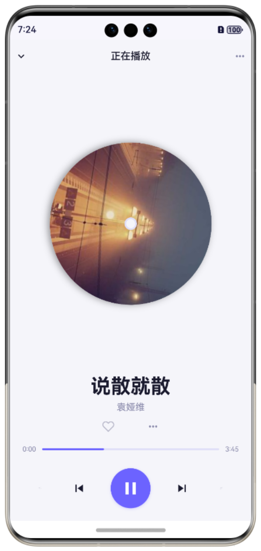 播放页效果